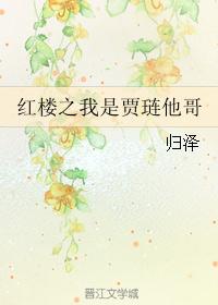 红楼之我是贾琏他哥