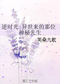 逆时光:异世来的那位神秘先生