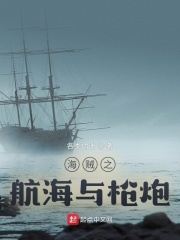 海贼之航海与枪炮