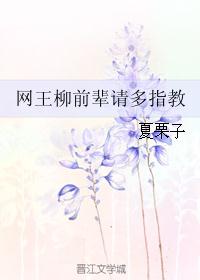 网王柳前辈请多指教