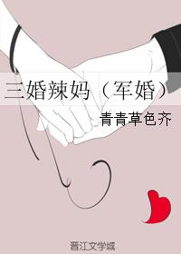 三婚辣妈（军婚）