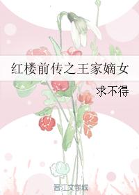 红楼前传之王家嫡女