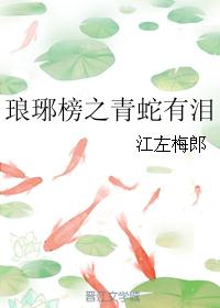 琅琊榜之青蛇有泪