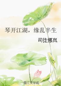 琴开江湖，缘乱半生