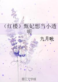 （红楼）甄妃想当小透明