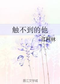 触不到的他