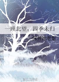 一顾北望，四季未归