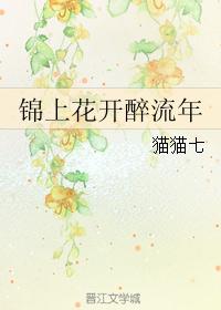 锦上花开醉流年