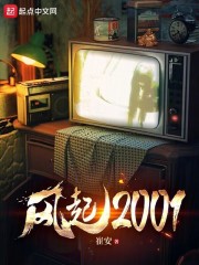 风起2001