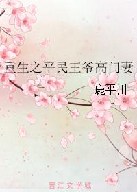 重生之平民王爷高门妻