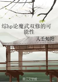 综hp论魔武双修的可能性