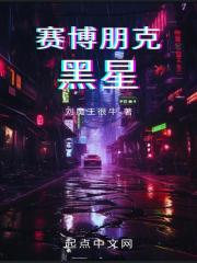 赛博朋克：黑星