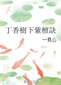 丁香樹下紫檀訣