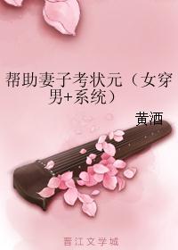 帮助妻子考状元（女穿男+系统）