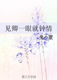 见卿一眼就钟情