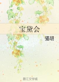 宝黛会