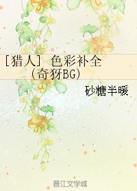 [猎人] 色彩补全 (奇犽BG)