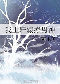 我上轩辕撩男神