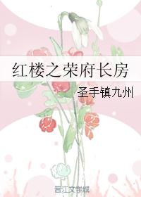 红楼之荣府长房