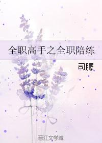 全职高手之全职陪练