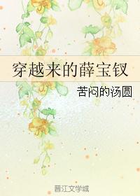 穿越来的薛宝钗