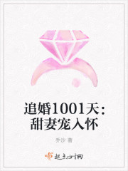 追婚1001天：甜妻宠入怀