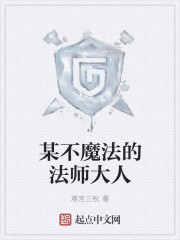 某不魔法的法师大人