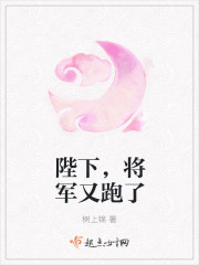 陛下，将军又跑了