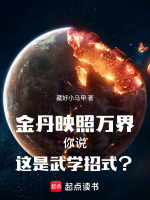 金丹映照万界，你说这是武学招式？