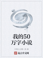 我的50万字小说