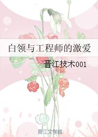 白领与工程师的激爱