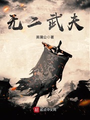 无二武夫