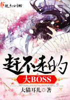 赶不走的大BOSS