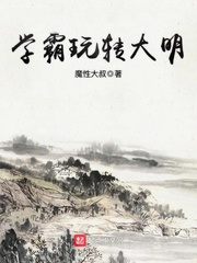 学霸玩转大明