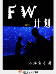 FW计划