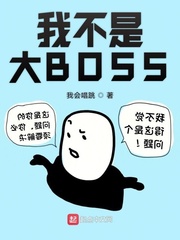 我不是大BOSS