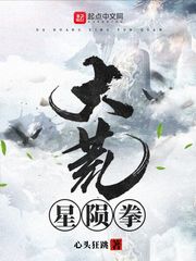 大荒星陨拳