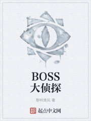 BOSS大侦探