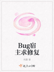 Bug宿主求修复